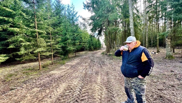 Kuusikuks saama kippunud Meremäe Kärneri kaasik tehakse korda